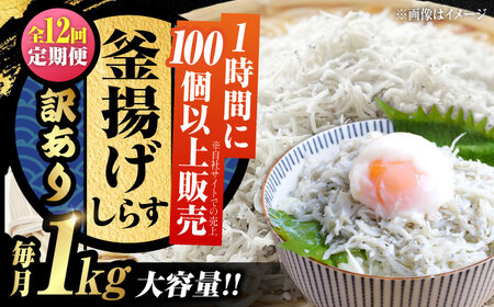 【全12回】訳あり釜揚げしらす1kg しらす[XCN028]