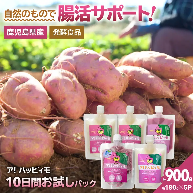 2821 ア！ハッピィモ10日間お試しパック KN113-001-01 菓子 さつまいも 野菜