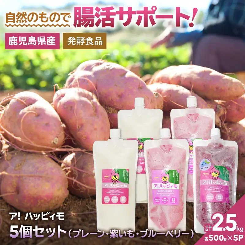 2825 ア！ハッピィモ5個セット（プレーン・紫いも・ブルーベリー） KN113-001-05 菓子 さつまいも 野菜