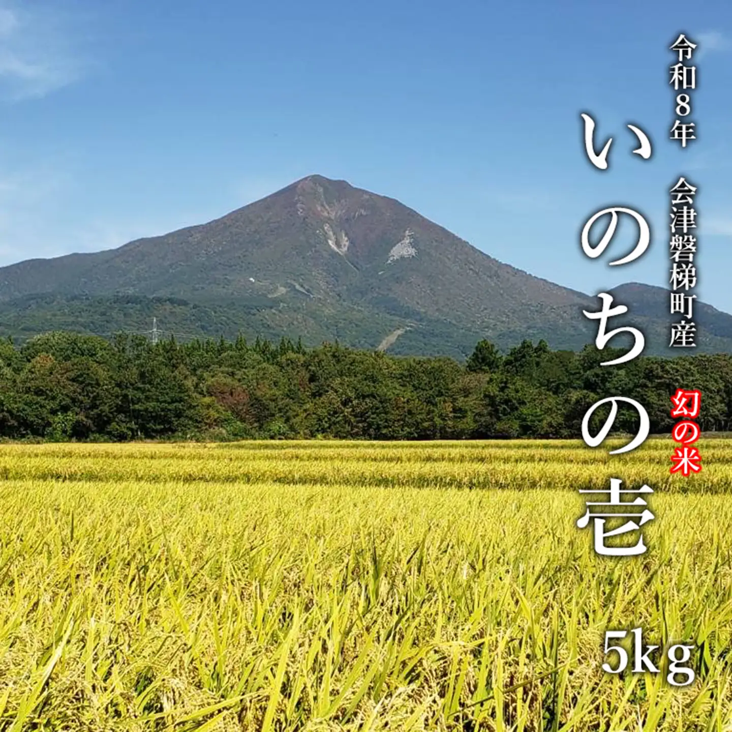 【令和8年産・新米】幻の米 いのちの壱 特別栽培米　5kg【減農薬・減化学肥料】