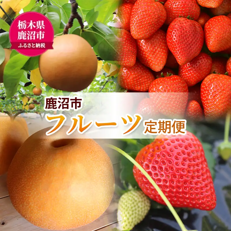 【 定期便 2回 】 大玉な梨 にっこり 2玉 約2kg と いちご市 鹿沼の 美味しい「い」「ち」「ご」とちあいか 15粒入り320g 2パック のフルーツ 定期便 ｜ 梨 いちご 鹿沼市 かぬま ※2026年10月～発送