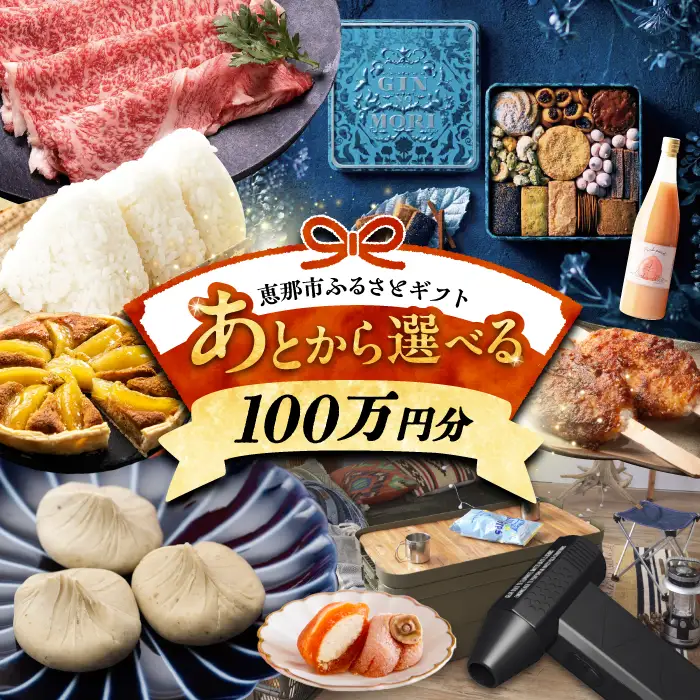 【あとから選べる】 岐阜県恵那市ふるさとギフト 寄附100万円分[AUFQ019]あとから選べる