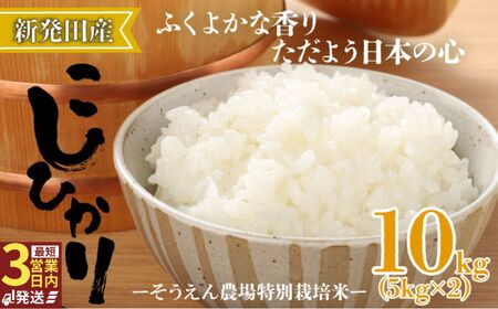 令和7年産 新潟県産 コシヒカリ 10kg 5kg×2袋 そうえん米 特別栽培米 お米 米 kome 白米 ご飯 こめ ごはん ライス ふるさと納税米 コシヒカリ お弁当 玄米 そうえん米 数量限定 5kg × 2袋 とんとん市場 せいだ 新潟 新発田 D09_04