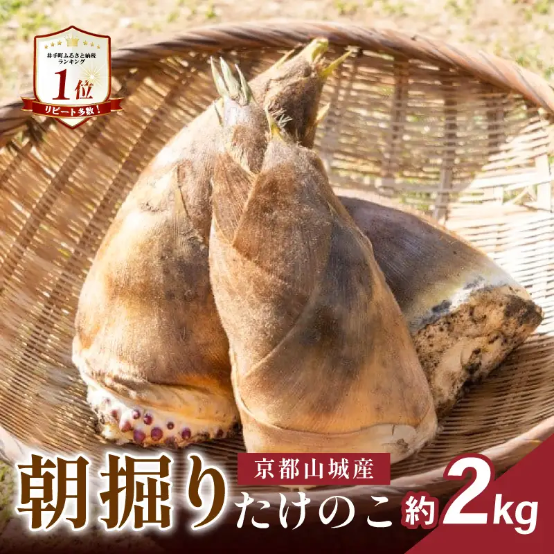 京都山城産 朝掘りたけのこ 約 2kg (4月発送) たけのこ 