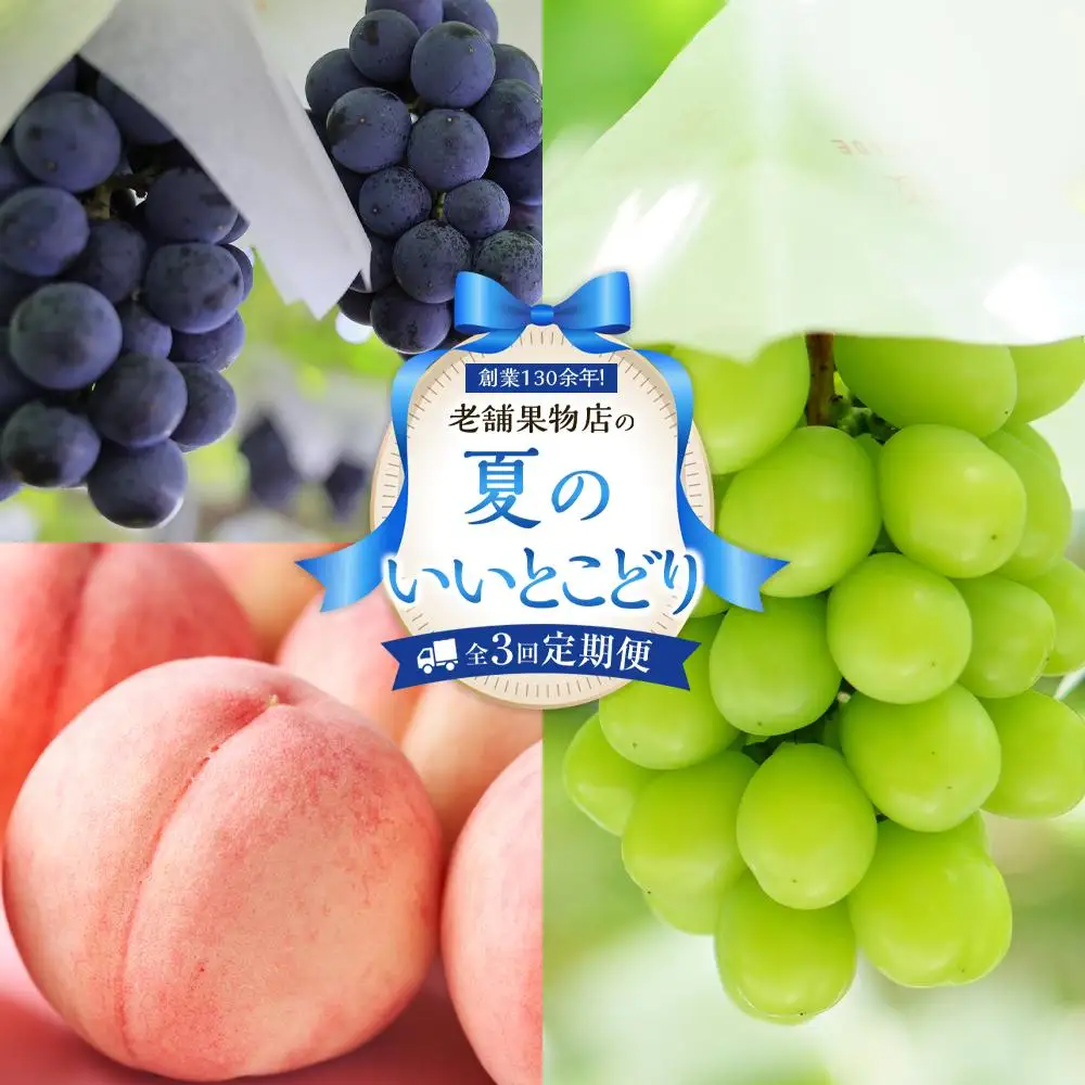 【定期便全3回】夏のいいとこどり定期便（7・8・9月） | フルーツ