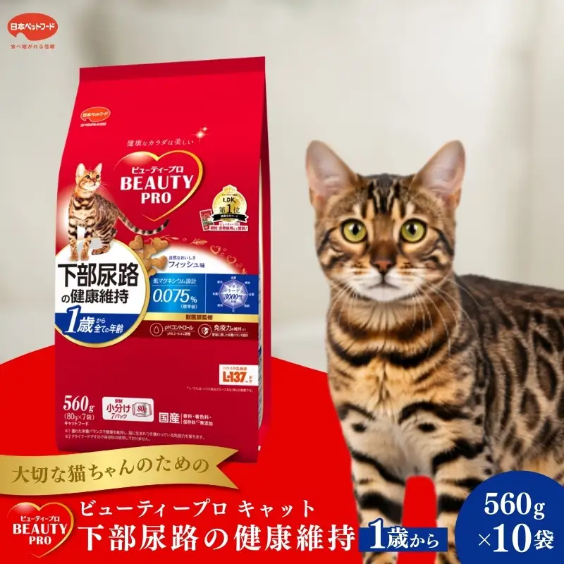 キャットフード ビューティープロ 下部尿路の健康維持 キャットフード
