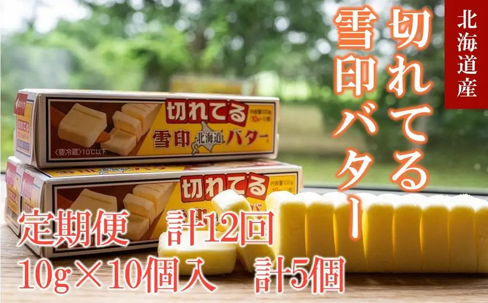 【12か月 定期便】切れてる 雪印 北海道 バター（10g×10個入）×5個　| バター