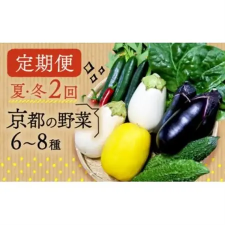 【発送月固定定期便】夏冬の野菜6～8種セット全2回_野菜     定期便 定期便  _【配送不可地域：離島・北海道・沖縄県】【4061742】