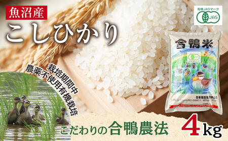 魚沼産 コシヒカリ 4kg あいがも農法 有機栽培米 精米 米 お米 ご飯 白米 合鴨 ごんべい こしひかり 特A 人気 安全 お取り寄せ 送料無料 新潟県 十日町市