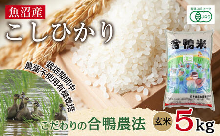 魚沼産 コシヒカリ 5kg あいがも農法 有機栽培米 玄米 米 お米 ご飯 胚芽 合鴨 ごんべい こしひかり 特A 人気 安全 お取り寄せ 送料無料 新潟県 十日町市