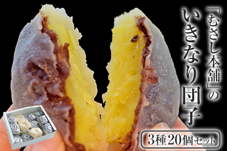 和菓子 いきなり団子 20個 むさし本舗 お菓子