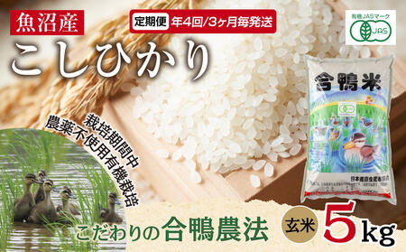 定期便 年4回 3か月毎 魚沼産 コシヒカリ 5kg あいがも農法 有機栽培米 玄米 米 お米  ご飯 胚芽 合鴨 ごんべい こしひかり 特A 人気 安全 お取り寄せ 送料無料 新潟県 十日町市 