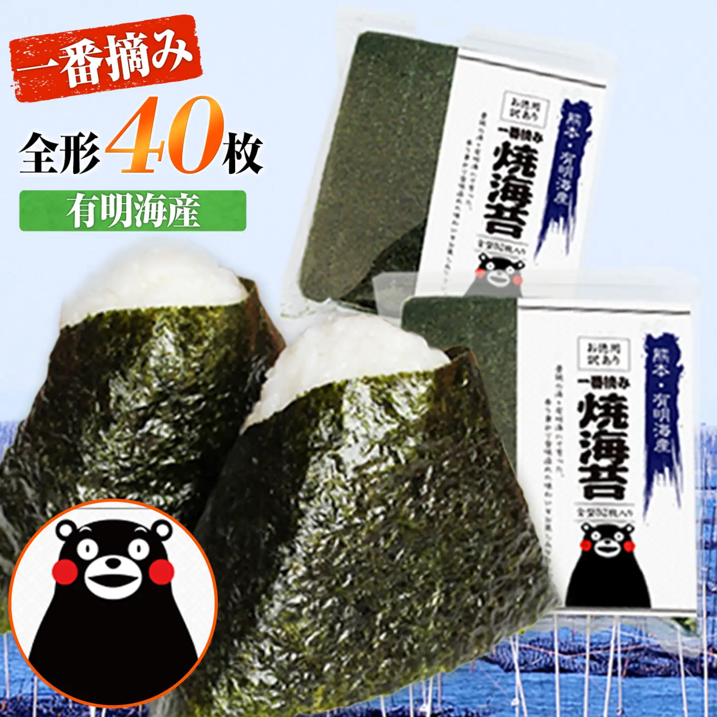 海苔 一番摘み 有明海産 訳あり 海苔 40枚 都度