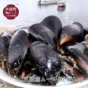 三陸産ムール貝(生)1kg(20個前後)