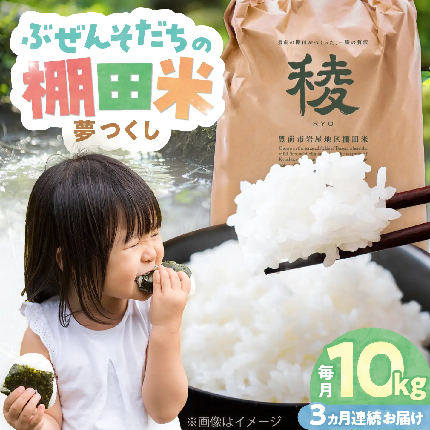 【全3回定期便】 求菩提米 夢つくし 10kg (5kg×2袋) VCO007 新米 定期便