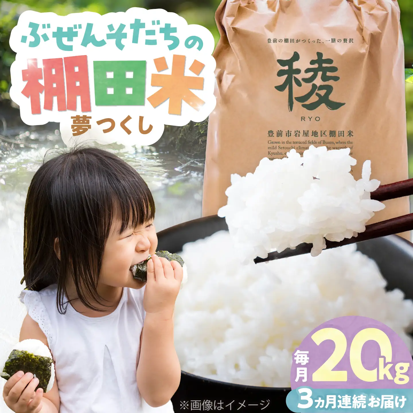 【全3回定期便】 求菩提米 夢つくし 20kg (5kg×4袋) VCO008 新米 定期便