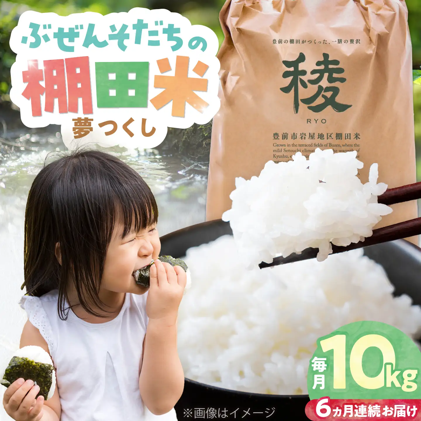 【全6回定期便】 求菩提米 夢つくし 10kg (5kg×2袋) VCO010 新米 定期便