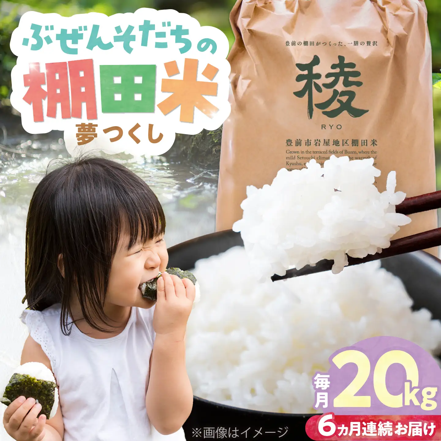 【全6回定期便】 求菩提米 夢つくし 20kg (5kg×4袋) VCO011 新米 定期便