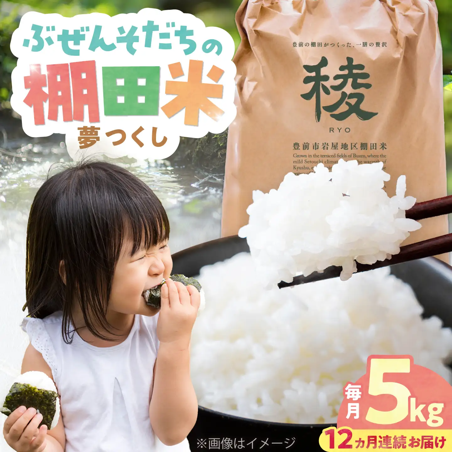 【全12回定期便】 求菩提米 夢つくし 5kg (5kg×1袋) VCO012 新米 定期便