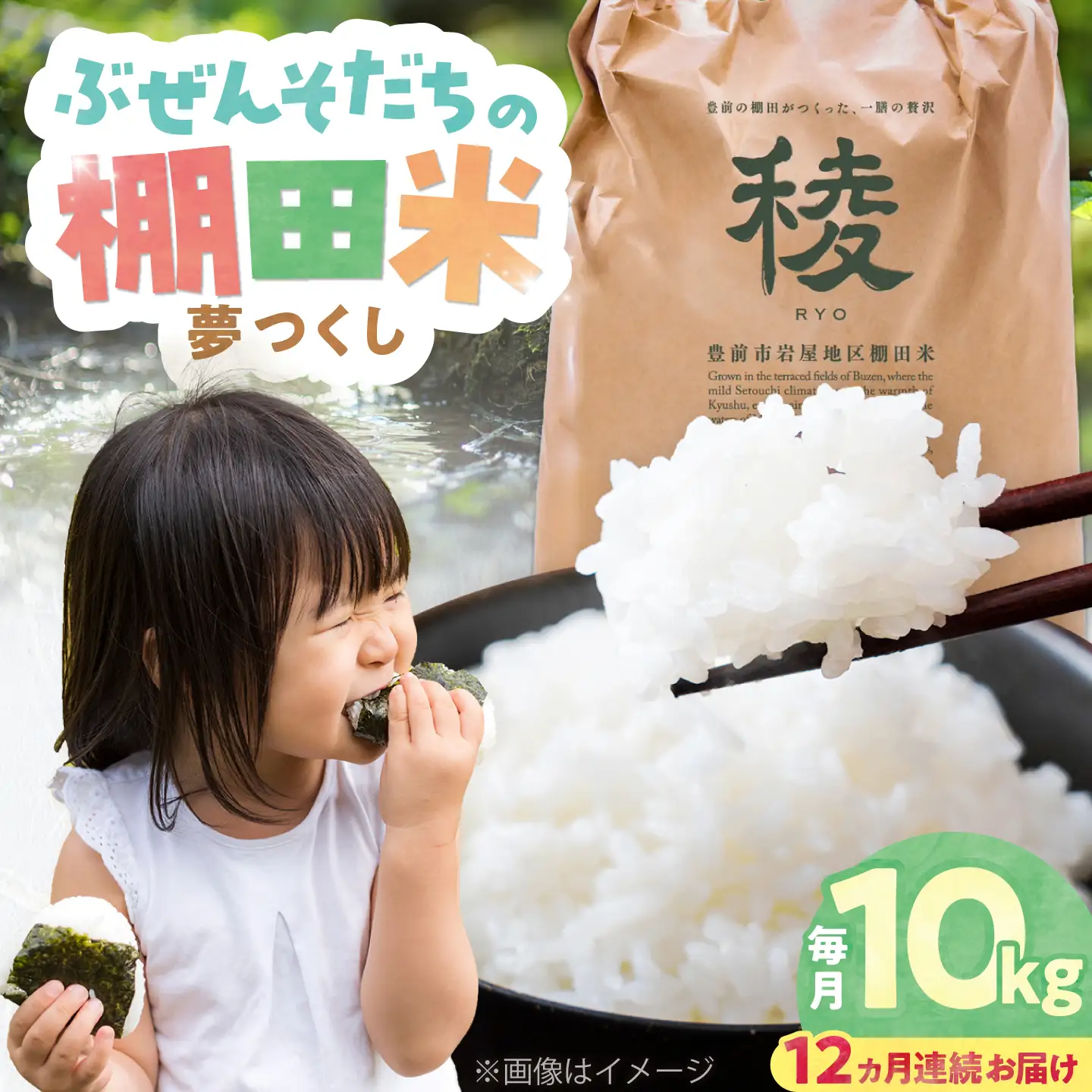 【全12回定期便】 求菩提米 夢つくし 10kg (5kg×2袋) VCO013 新米 定期便