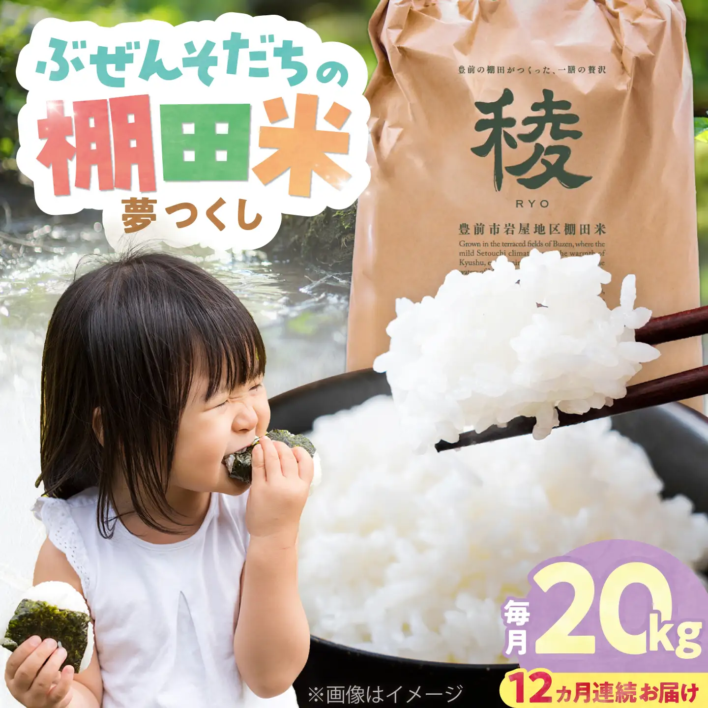 【全12回定期便】 求菩提米 夢つくし 20kg (5kg×4袋) VCO014 新米 定期便