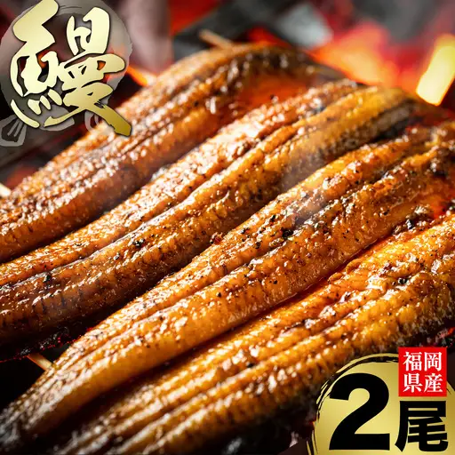 福岡県産 うなぎ 2尾  (1尾当たり：140g-180g) 国産 株式会社HOMIE 《45日以内に出荷予定(土日祝除く)》