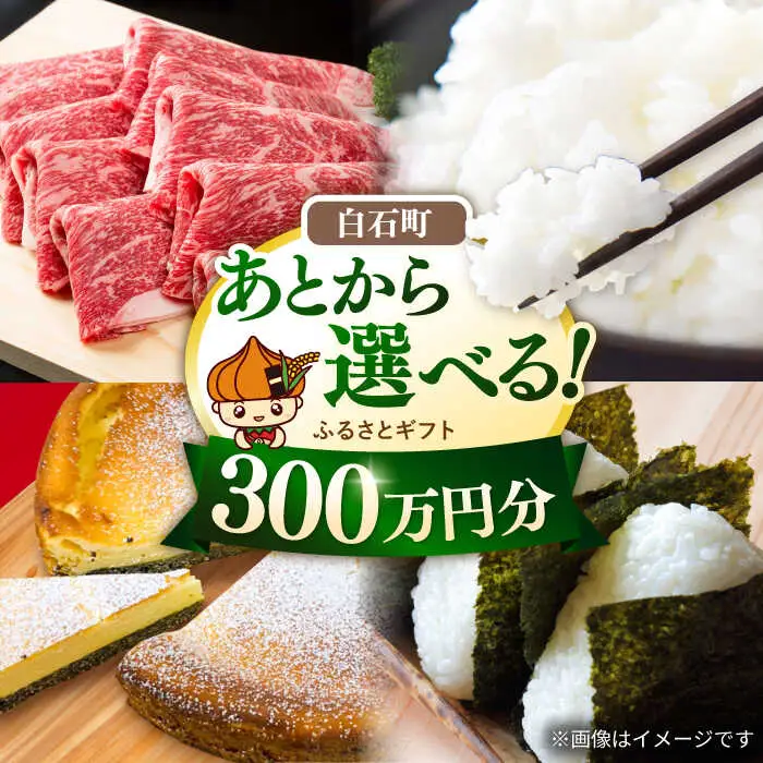 【あとから選べる】佐賀県白石町ふるさとギフト 300万円分 / あとから [IZY022]