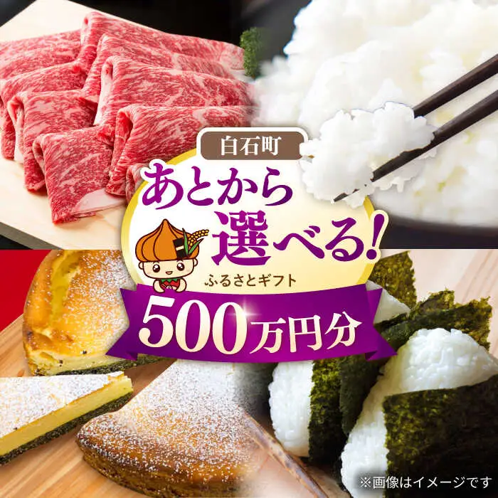 【あとから選べる】佐賀県白石町ふるさとギフト 500万円分 / あとから [IZY024]