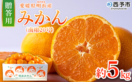 ＜みかん（南柑20号）贈答用 約5kg＞ 果物 くだもの フルーツ ミカン 柑橘 なんかん20ごう ナンカン20ゴウ 温州みかん うんしゅうみかん 贈答 ギフト プレゼント 特産品 株式会社笑丸 愛媛県 西予市【常温】『2026年12月上旬～2027年1月上旬迄に順次出荷予定』AAN0050