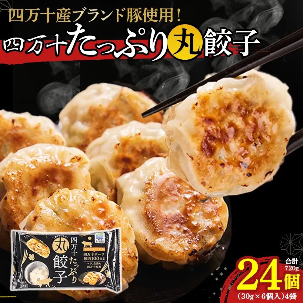四万十産ブランド豚使用！四万十たっぷり丸餃子 4袋（30g×6個入)合計720g ／Qak-43 餃子 生餃子 ブランド豚