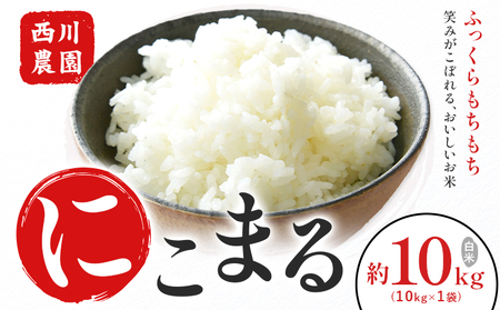 令和7年産 米 にこまる 約10kg (10kg×1袋) こめ コメ 白米 西川農園《30日以内に出荷予定(土日祝除く)》 熊本県 荒尾市 米 白米 こめ 