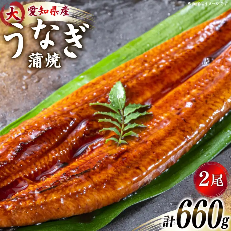 うなぎ 国産 うなぎ蒲焼 2尾 660g 各330g