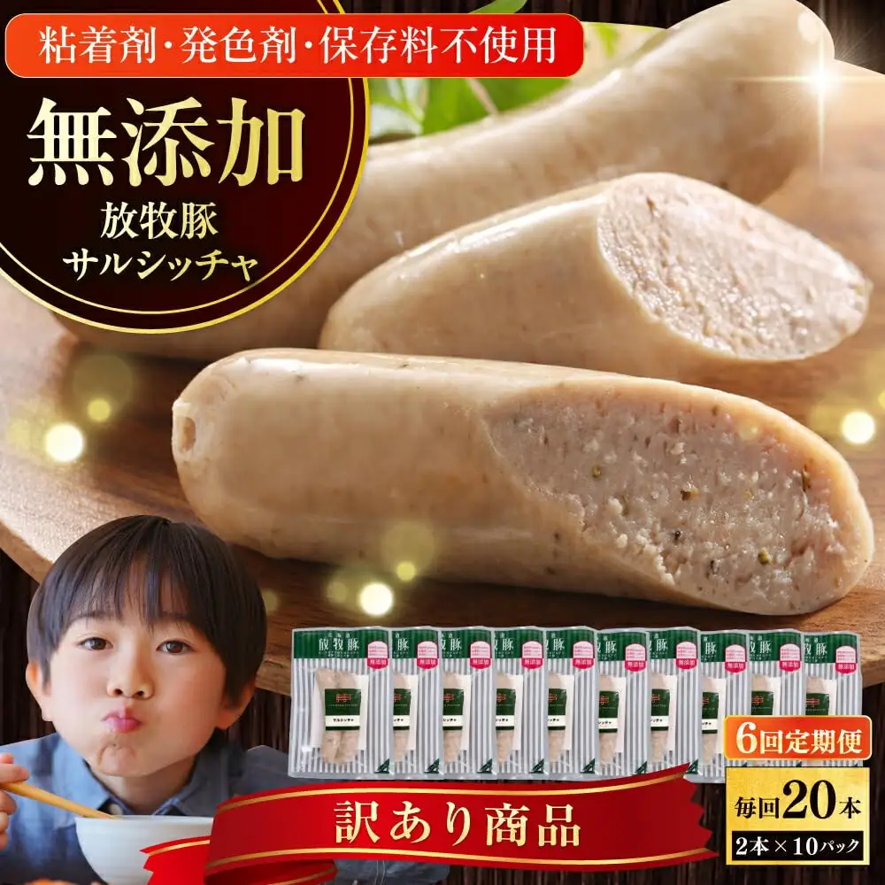 【全6回定期便】【訳あり】【結着剤・発色剤・保存料不使用】 放牧豚 サルシッチャ 2本x10セット（90g/パック） 訳あり ソーセージ ウインナー 無塩せき 冷凍配送 セット 詰め合わせ 北海道 [AXBA076]