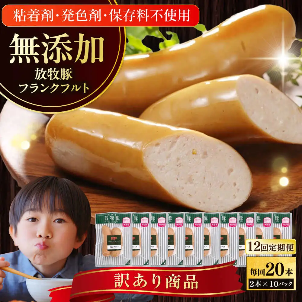 【全12回定期便】【訳あり】【結着剤・発色剤・保存料不使用】 放牧豚 フランクフルト 2本×10セット（150g/セット） 訳あり ソーセージ ウインナー 無塩せき 冷凍配送 セット 詰め合わせ 北海道 [AXBA085]