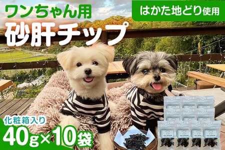 砂肝カット はかた地どり使用 特別仕様 おしゃれな化粧箱でお届け 素材そのまま 砂肝カットのワンちゃん用おやつ 10袋 砂肝 ジャーキー おやつ 福岡県産 天然素材100％ 添加物不使用 犬用 ペット用品