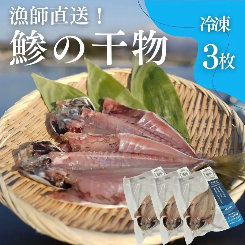 干物 鯵の干物 3枚 漁師直送 冷凍 ワンフローズン あじ 簡単調理