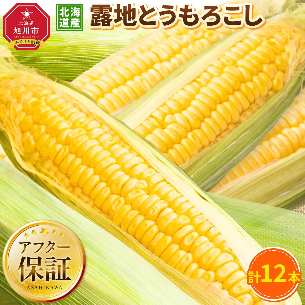 【先行予約】露地とうもろこし　合計12本　2026年8月下旬から発送開始 | とうもろこし 北海道 _04755