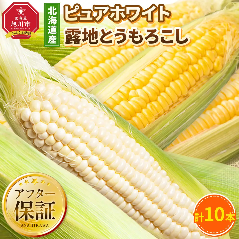 【先行予約】ピュアホワイト・露地とうもろこし　計10本　2026年8月下旬から発送開始 | とうもろこし 北海道 _04756