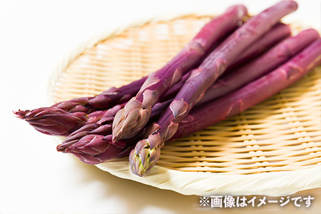 【朝採新鮮】紫アスパラガス1.0kg（Lサイズ以上）【2027年2月～4月末発送】 CC04
