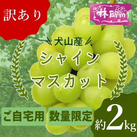 【予約受付・数量限定】訳あり犬山産シャインマスカット 約2キロ [0491]