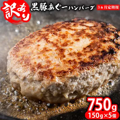 ハンバーグ【3ヵ月定期便】【訳あり】あぐー豚肉ハンバーグ 750g