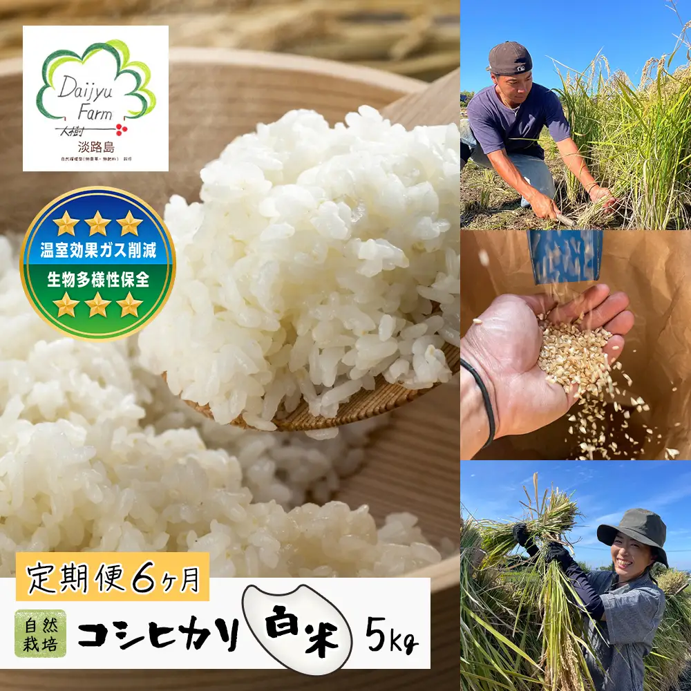 【定期便6ヶ月】自然栽培　コシヒカリ（白米）　5kg