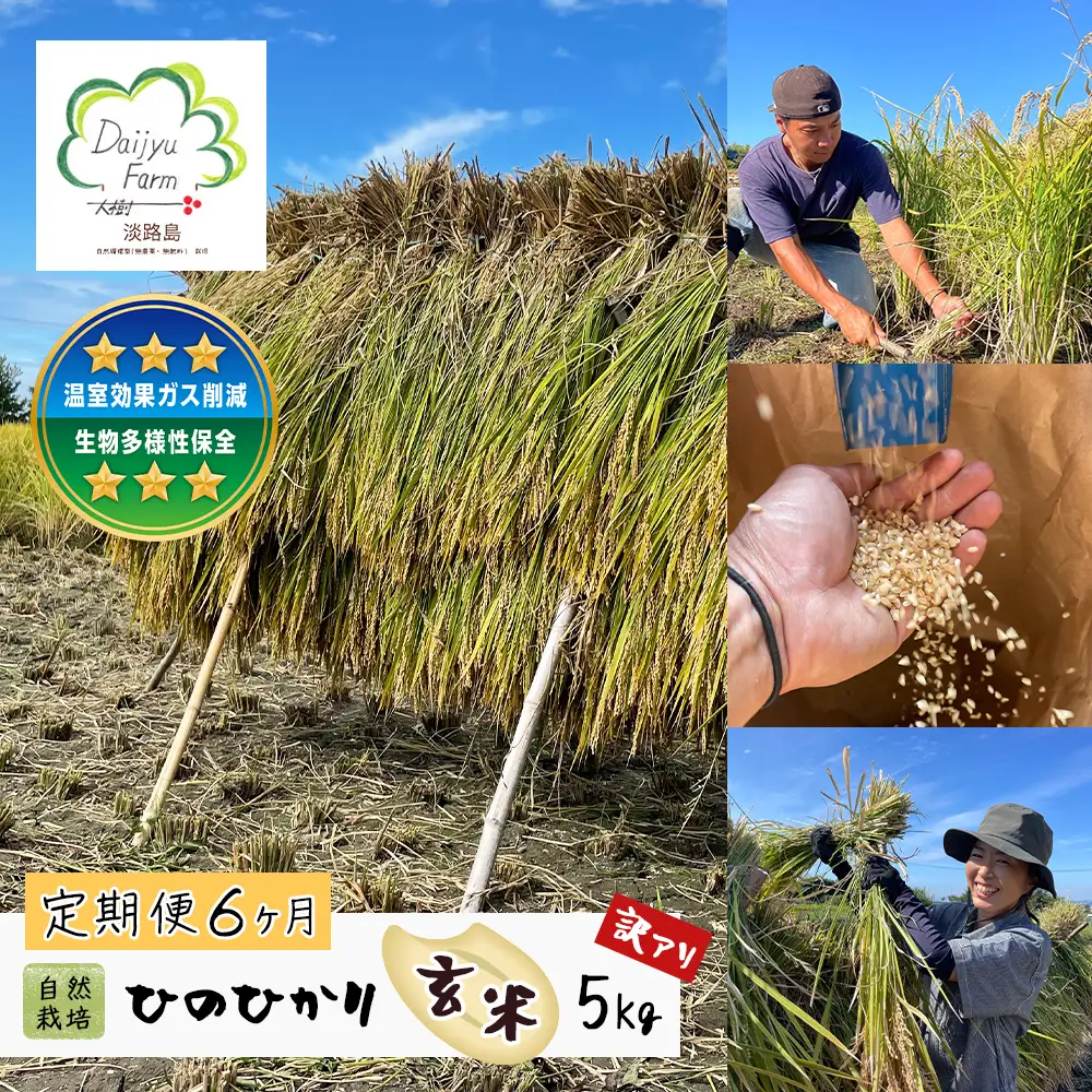 【定期便6ヶ月】自然栽培　ひのひかり（玄米）　5kg 《無選別品のため訳アリ》
