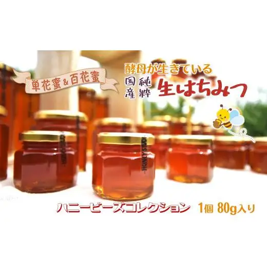 国産純粋生はちみつ ハニービーズコレクション“しろいの季節” 80g お試しサイズ 純粋はちみつ 非加熱 添加物なし 百花蜜 単花蜜 国産はちみつ 生はちみつ100% 美味しい