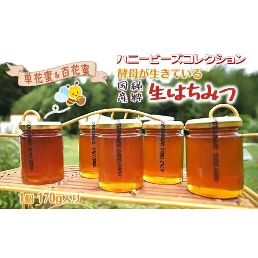 国産純粋生はちみつ ハニービーズコレクション“しろいの季節”のはちみつ 170g 純粋はちみつ 非加熱 添加物なし 百花蜜 単花蜜 国産はちみつ 生はちみつ100% 美味しい