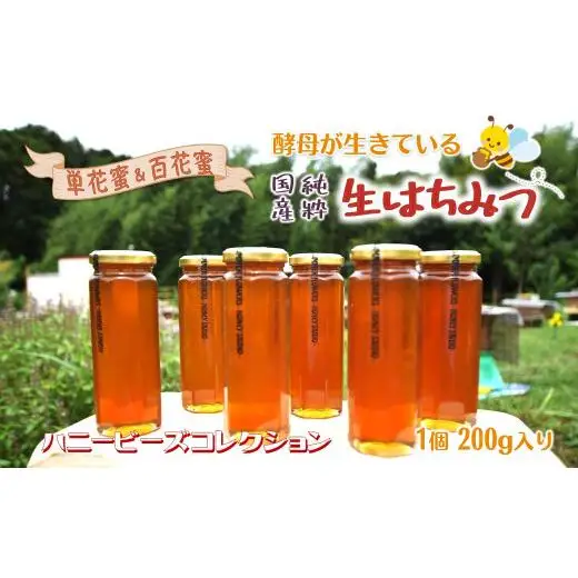 国産純粋生はちみつ ハニービーズコレクション“しろいの季節” 200g 純粋はちみつ 非加熱 添加物なし 百花蜜 単花蜜 国産はちみつ 生はちみつ100% 美味しい