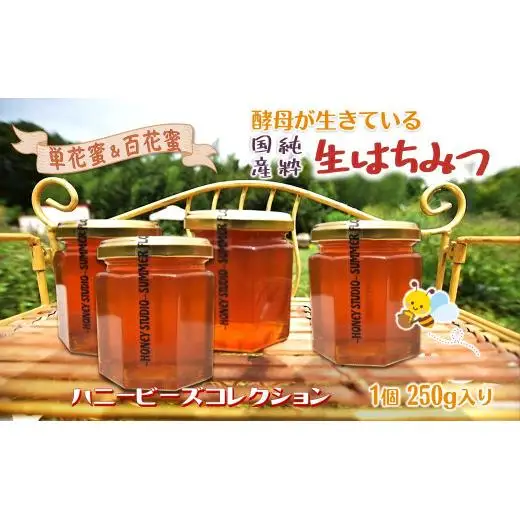 国産純粋生はちみつ ハニービーズコレクション“しろいの季節” 250g 純粋はちみつ 非加熱 添加物なし 百花蜜 単花蜜 国産はちみつ 生はちみつ100% 美味しい