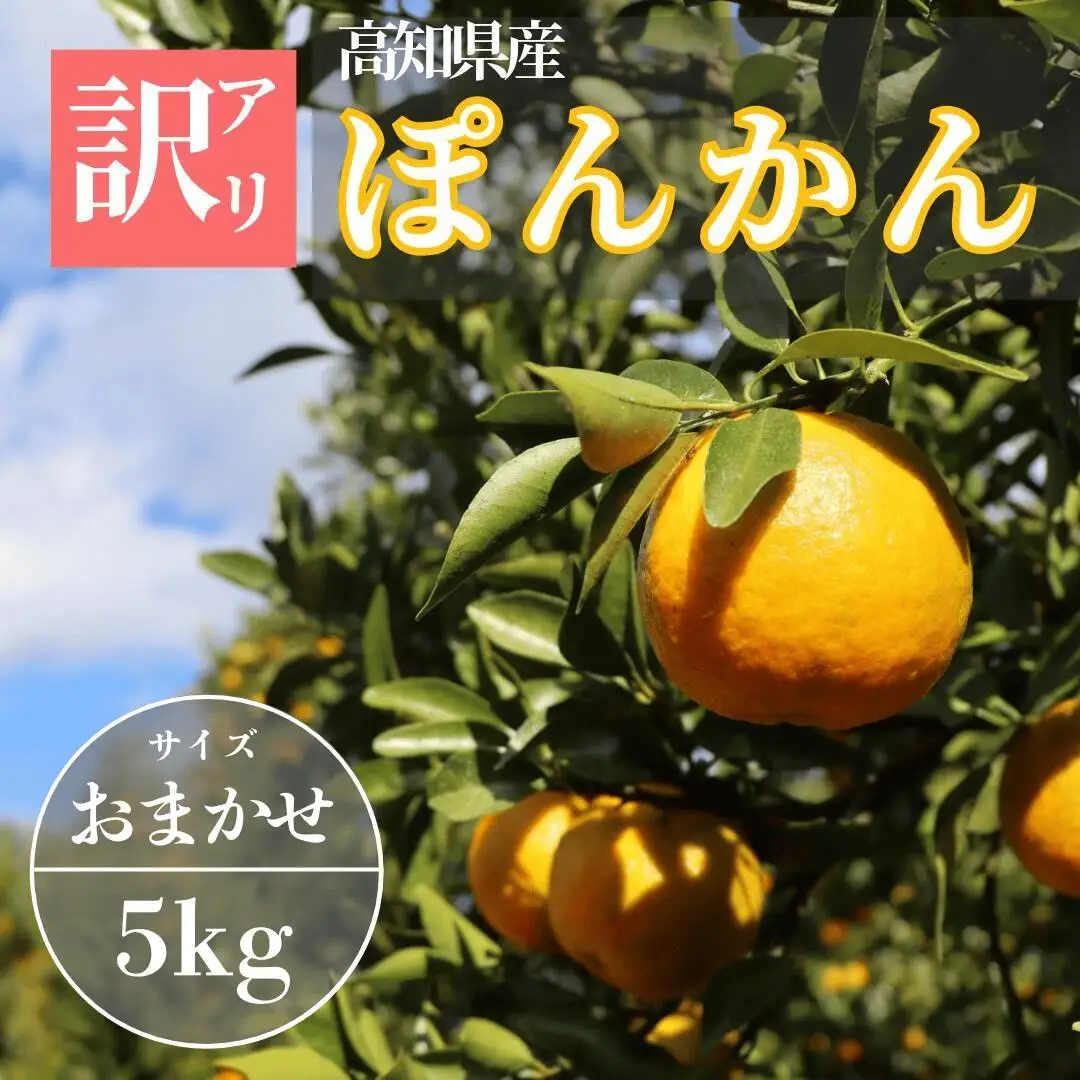 徳村の訳ありぽんかん サイズおまかせ ＜5kg＞