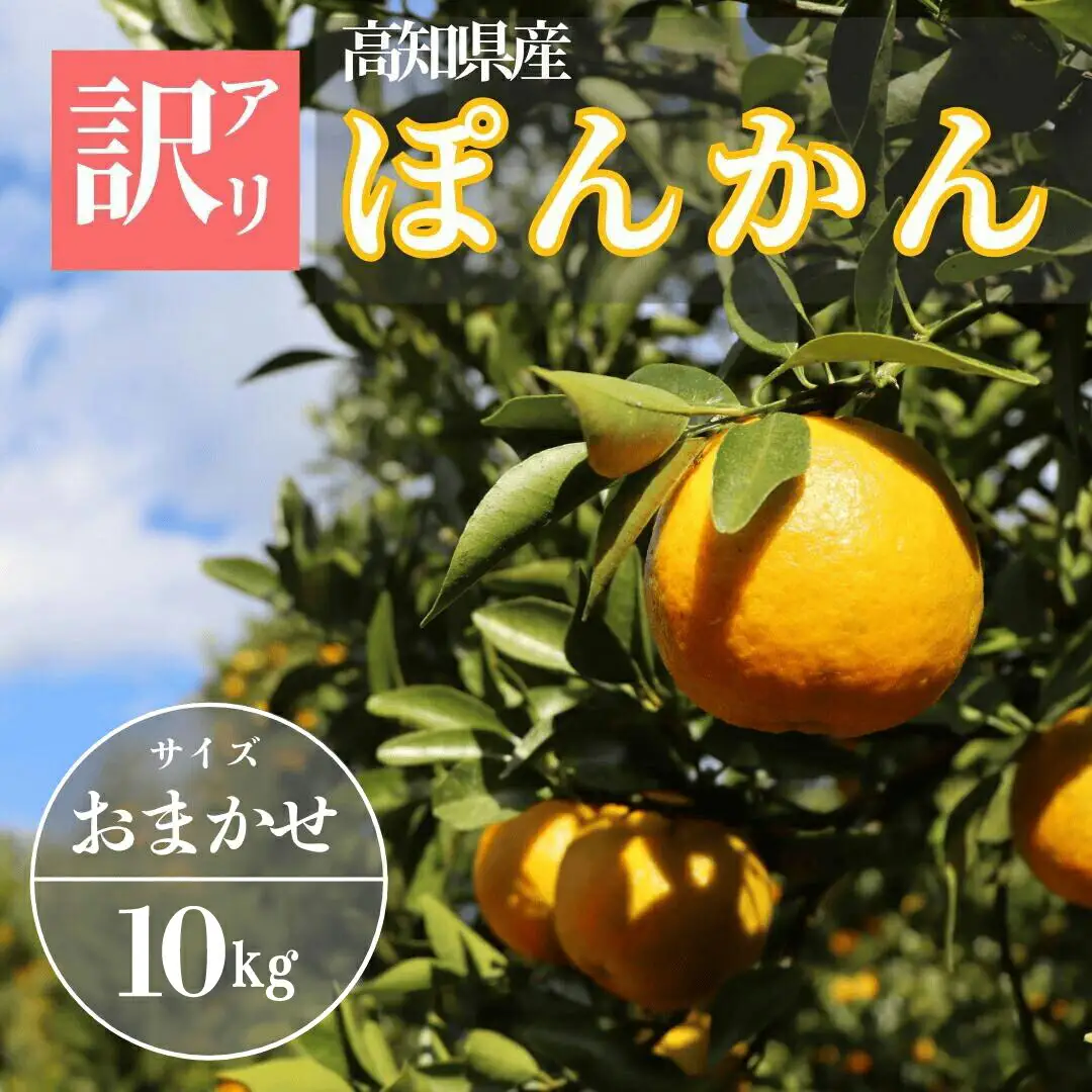 徳村の訳ありぽんかん サイズおまかせ ＜10kg＞