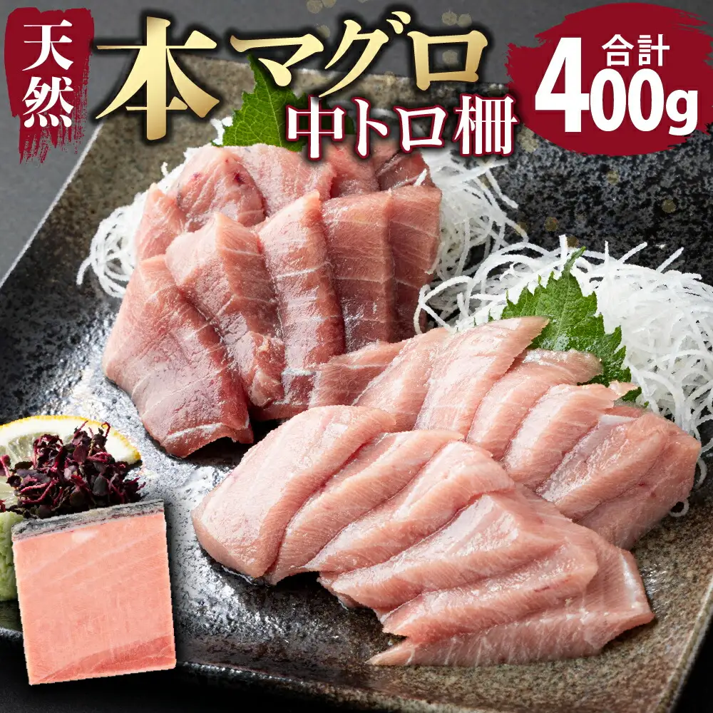 厳選！ 天然本まぐろ 中トロ  ４００ｇ お刺身用 天然まぐろ 天然マグロ まぐろ 鮪 刺身 お刺身 サク 柵 高知 室戸 冷凍 瞬間冷凍 小分け 便利 父の日 